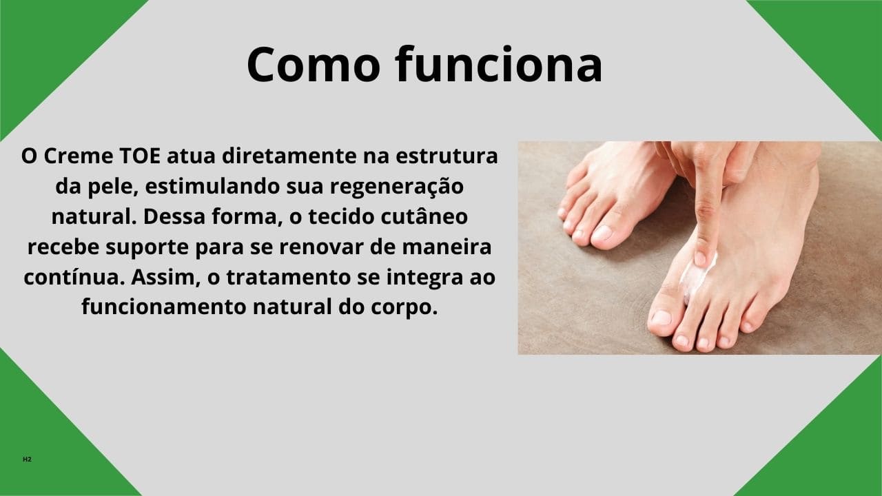 Imagem explicativa mostrando as etapas de funcionamento de um processo de forma clara e objetiva.