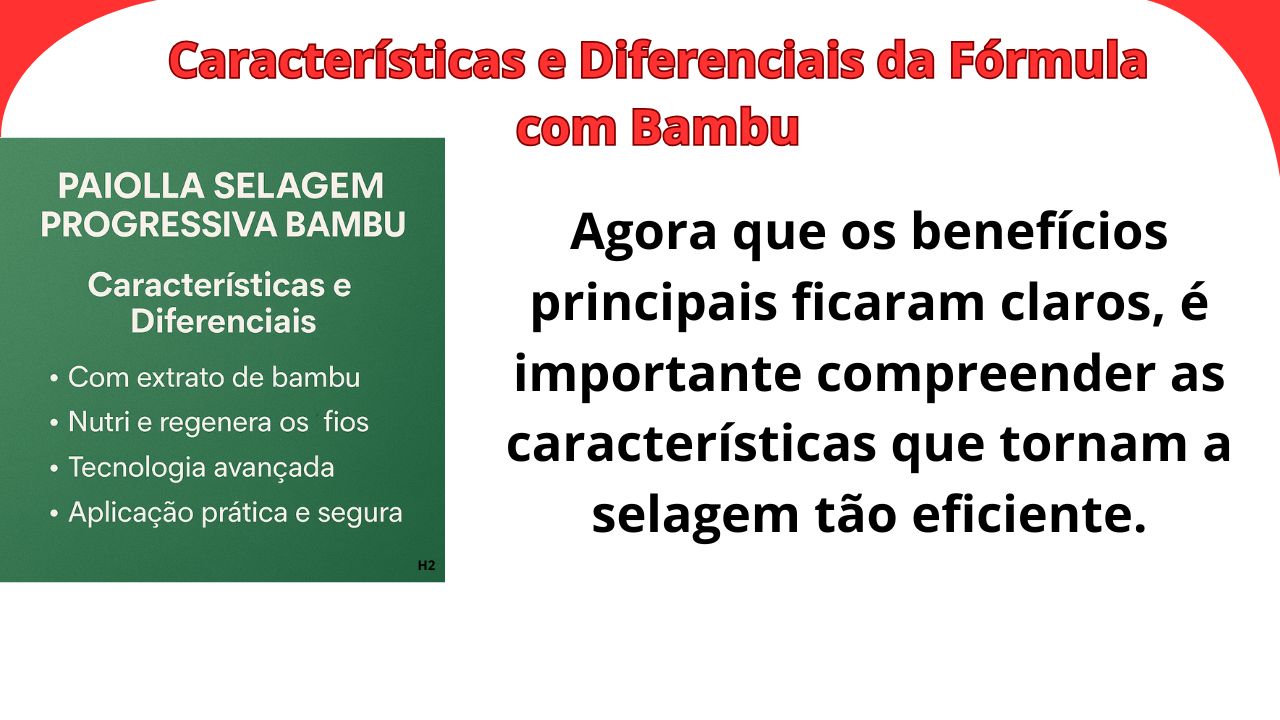 Principais características